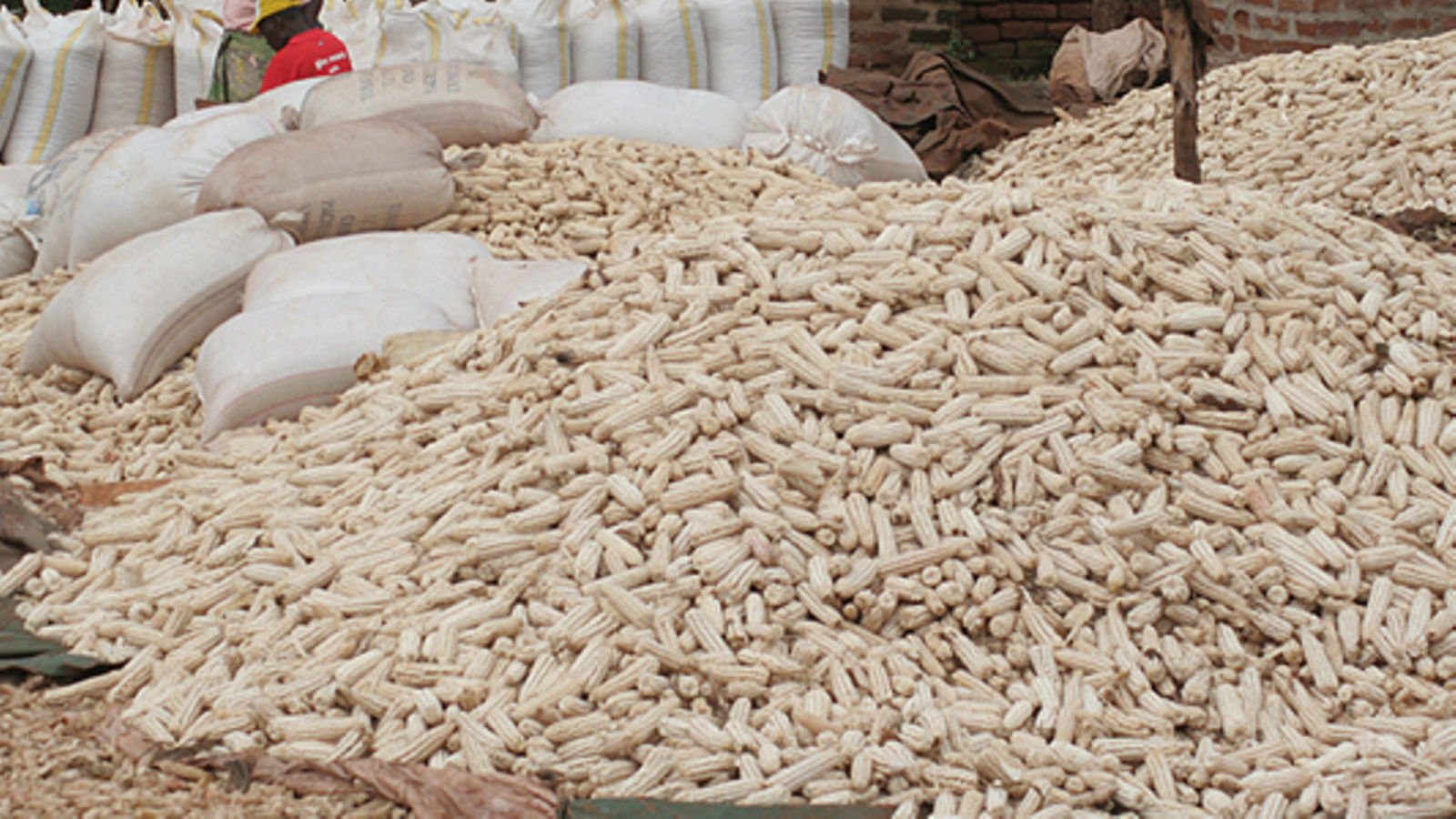 This Time Not Kenya: S.Sudan Impounds Over 40tonnes Of Ugandan Maize ...