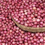 Farmer’s Guide: Fertilizing Onions Is Essential For Bigger & Stronger Crops, But Here’s How You Can Do It!