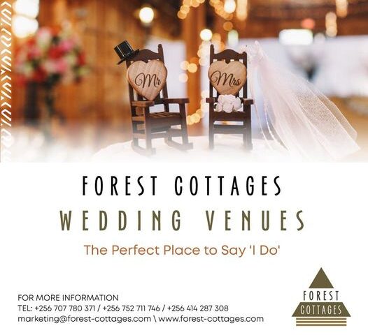 Planning Your Wedding? Celebrate In Style With Forest Cottages’ Elegant Venues