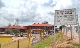 Parliament Roasts Mubende Hospital’s Management Over Expired Drugs Worth Millions