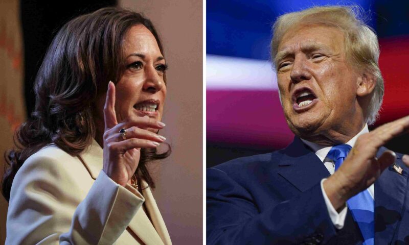 Stop Confusing The World, What Are You, Indian Or Black?: Trump Badly Attacks Harris In Heated Interview