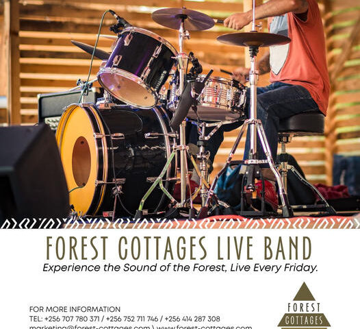 No Friday Plot? Pass By Forest Cottages This Evening And Feel the Rhythm Of Live Music To  Kickstart Your Weekend