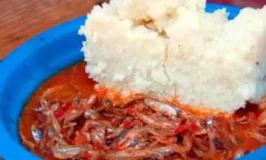 Health Alert: Top Health Benefits Of Silver Fish ‘Mukene’