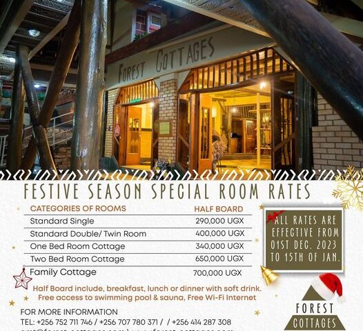 Christmas Bonanza! Forest Cottages Unveils Festive Season Special Accommodation Rates Filled With Massive Offers: Book Your Slot Now 