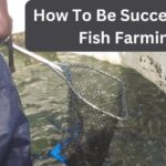 Farmer’s Guide: Fish Farming Can Be A Profitable Venture But You Must Follow These Key Dos & Don’ts