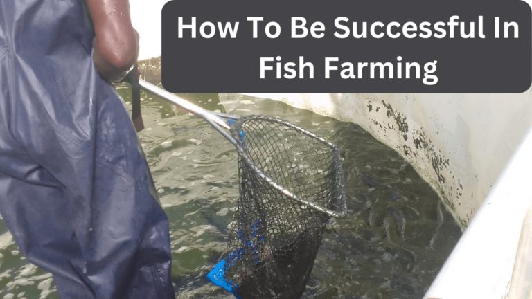 Farmer’s Guide: Fish Farming Can Be A Profitable Venture But You Must Follow These Key Dos & Don’ts