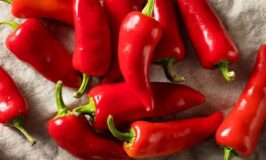 Health Alert: Diseases Cured By Pilipili That No One Will Ever Tell You About (Chili Pepper)