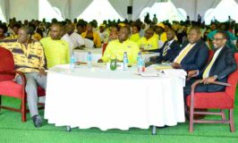 NRM Caucus Backs Proposed Amendments To UPDF Act, Court Martial Resurrected!